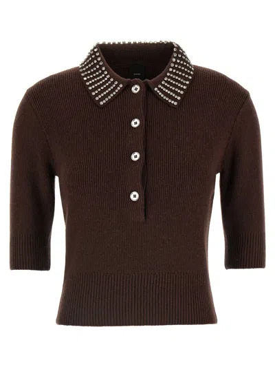 Pinko Emilia Sweater With Strass In Brown