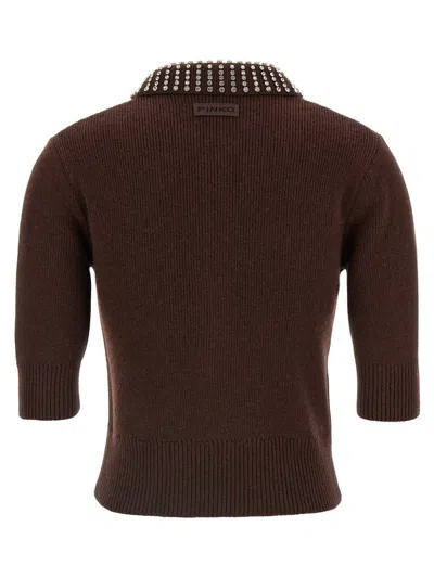Pinko Emilia Sweater With Strass In Brown