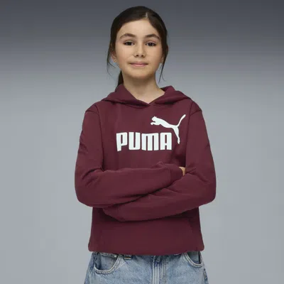 Puma Essentials No. 1 Logo Big Kids' Hoodie In Brown