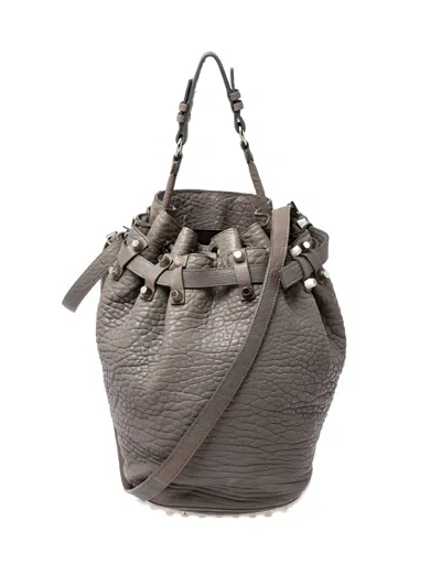 Pre-owned Alexander Wang Diego Stud-detail Bucket Bag In Gray