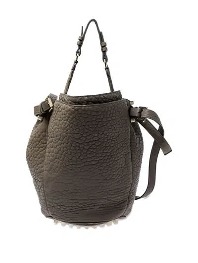 Pre-owned Alexander Wang Diego Stud-detail Bucket Bag In Gray