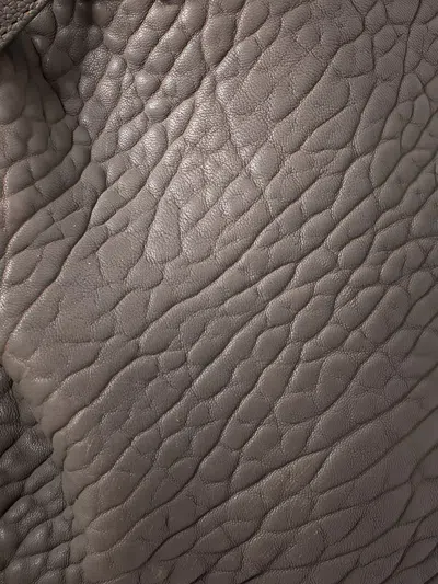 Pre-owned Alexander Wang Diego Stud-detail Bucket Bag In Gray