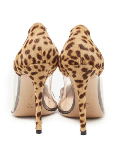 Pre-owned Gianvito Rossi 120mm Plexi Leopard-print Pumps