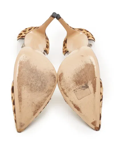 Pre-owned Gianvito Rossi 120mm Plexi Leopard-print Pumps