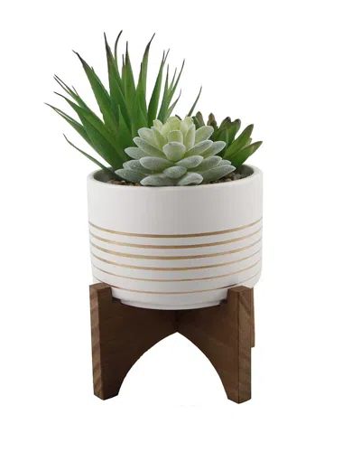 Flora Bunda 4.75in Succulent Mix In Striped Ceramic Pot On Stand In White