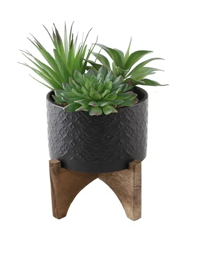 Flora Bunda 5in Succulent Mix In Ceramic Planter With Stand In Black