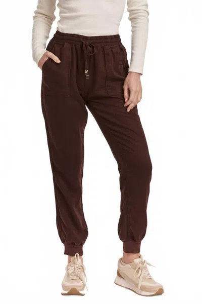 Dear John Denim Jacey Ground Coffee Jogger Pant In Brown