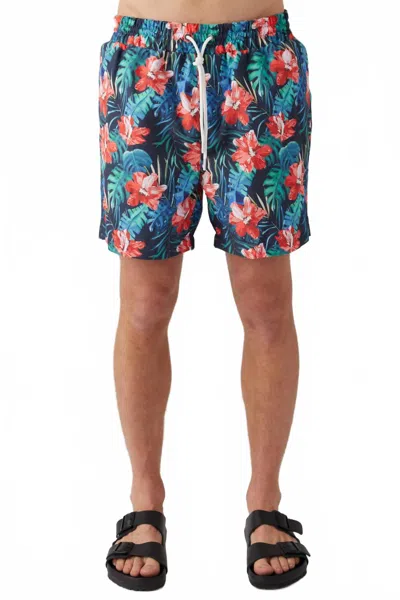 Sol Angeles Men's Hibiscus Floral Swim Short In Multi In Blue
