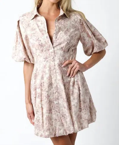 Olivaceous Georgia Button Down Dress In Blush In Neutral