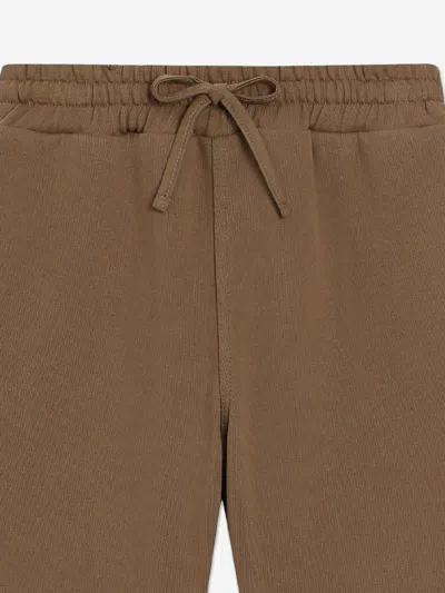 Dolce & Gabbana Boys Bermuda Shorts In Brown