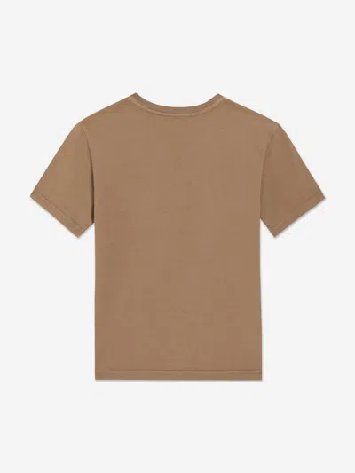 Dolce & Gabbana Boys Logo T-shirt In Brown