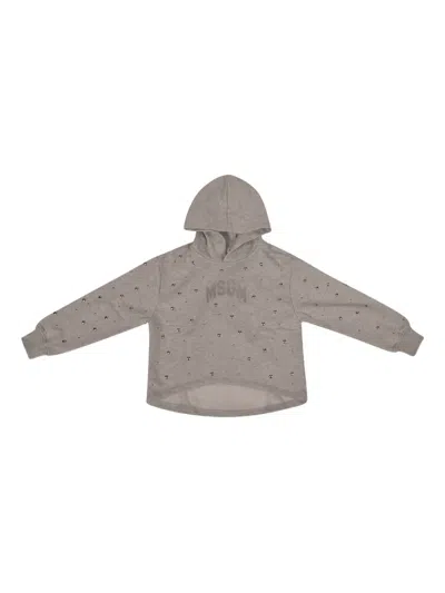 Msgm Hooded Embellished Hoodie In Brown
