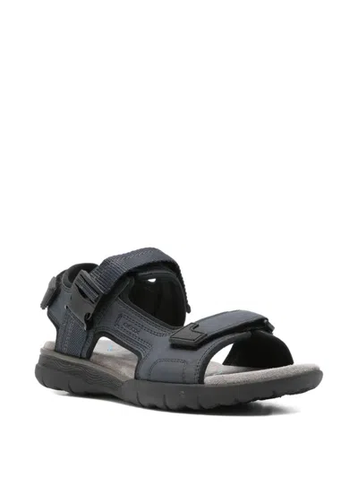 Geox Buckle-strap Sandals In Blue