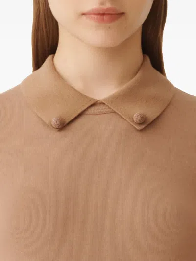 Fabiana Filippi Short Sleeve T-shirt With Knit Collar And Pins In Brown