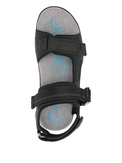 Geox Buckle-strap Sandals In Multi