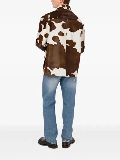 Moschino Cow-print Button-up Jacket In Brown