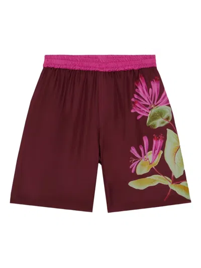 Pierre-louis Mascia Floral-print Elastic-waist Shorts In Burgundy