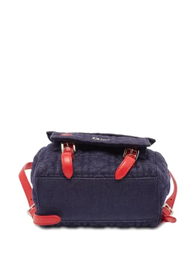 Pre-owned Dior Quilted Ladybug-appliqué Backpack