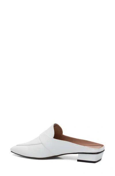 Linea Paolo Galina Mule