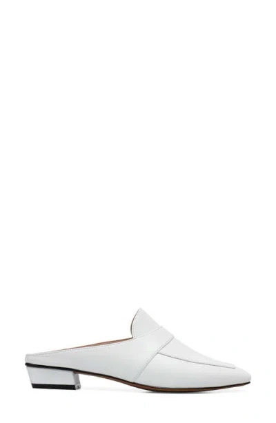 Linea Paolo Galina Mule