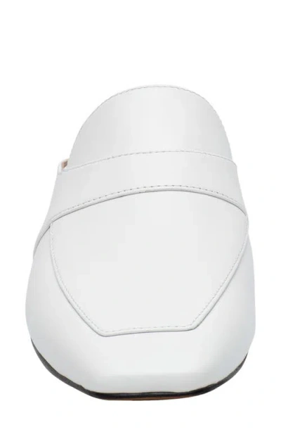 Linea Paolo Galina Mule