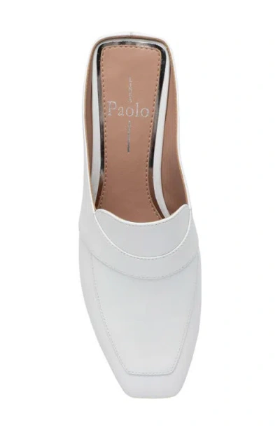 Linea Paolo Galina Mule