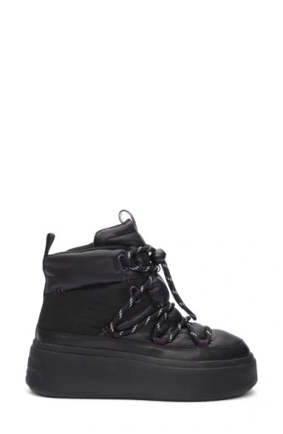 Ash Montana Platform Sneaker