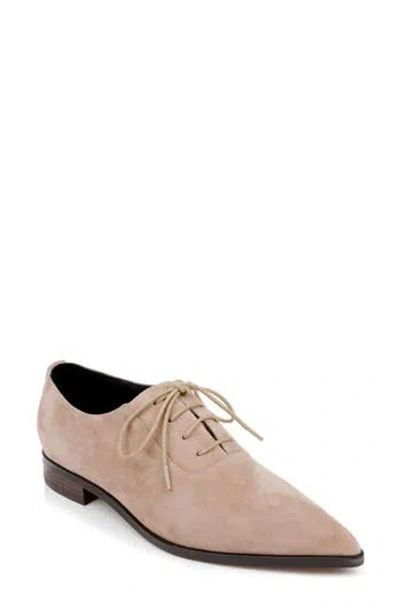 L Agence L'agence Elise Iii Pointed Toe Oxford