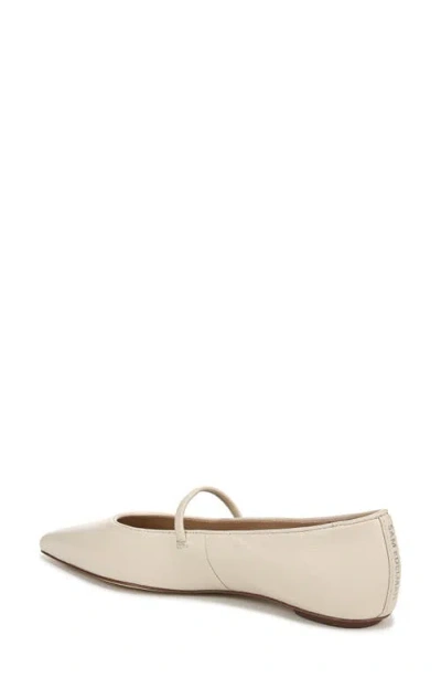 Sam Edelman Bri Pointed Toe Bow Flats