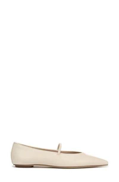 Sam Edelman Bri Pointed Toe Bow Flats