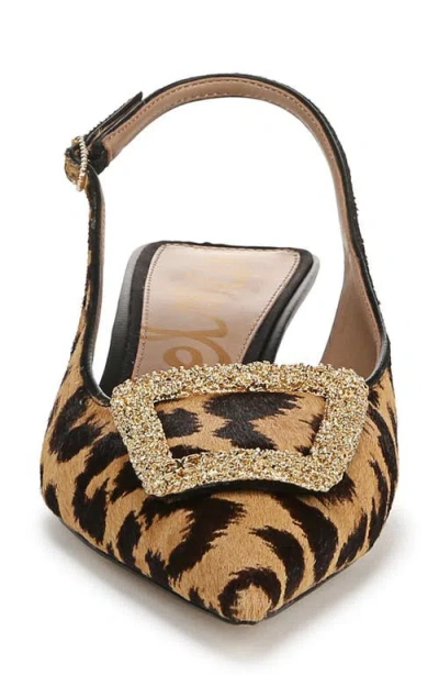 Sam Edelman Kammie Slingback Pointed Toe Kitten Heel Pump