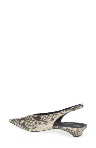 Tony Bianco Esmae Ecru Snake Flats