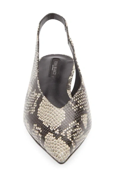 Tony Bianco Esmae Ecru Snake Flats