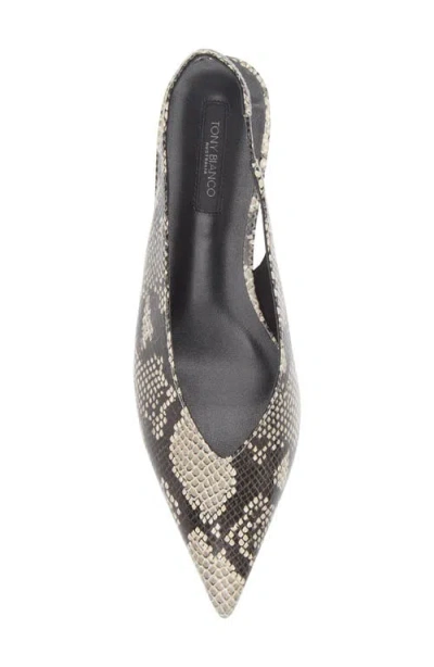 Tony Bianco Esmae Ecru Snake Flats