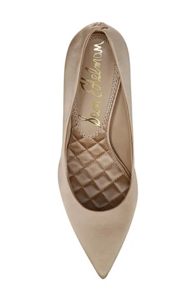 Sam Edelman Hazel Amour Pointed Toe Pump
