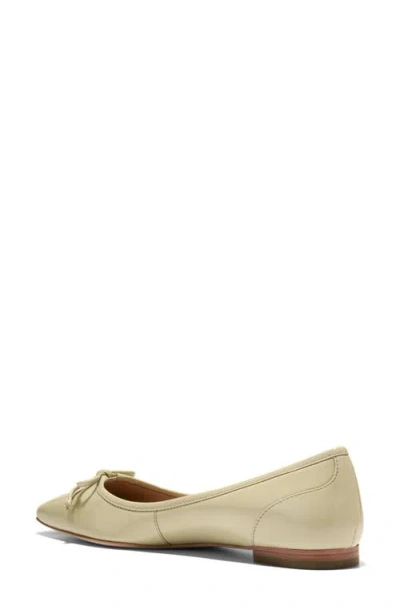 Cole Haan Chlea Pointed Toe Ballet Flat