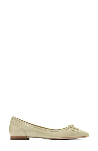 Cole Haan Chlea Pointed Toe Ballet Flat