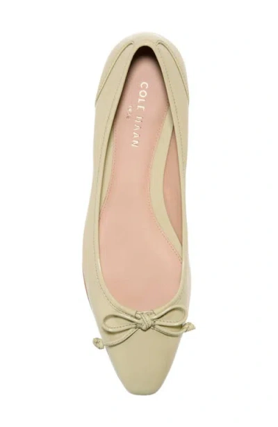 Cole Haan Chlea Pointed Toe Ballet Flat