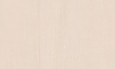 Max Studio Textured Wide Leg Crop Pants