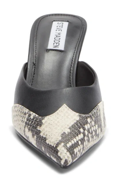 Steve Madden Elysa Pointed Toe Mule
