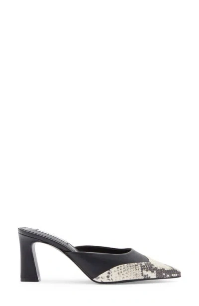 Steve Madden Elysa Pointed Toe Mule