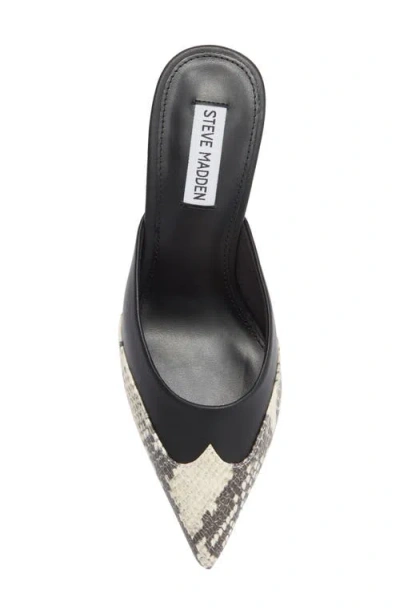 Steve Madden Elysa Pointed Toe Mule