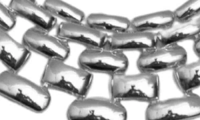 Argento Vivo Sterling Silver Panthera Collar Necklace