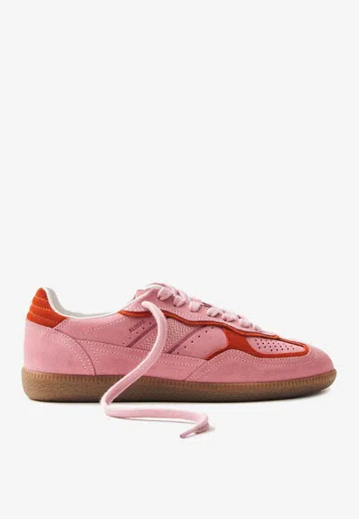 Alohas Tb.490 Low-top Suede Sneakers In Multi