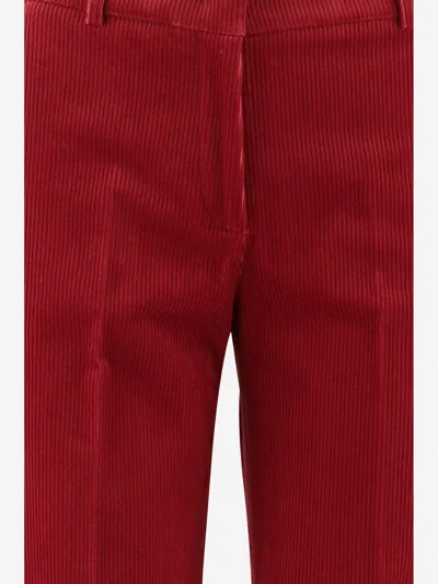 Ql2 Stretch Cotton Melody Pants In Red