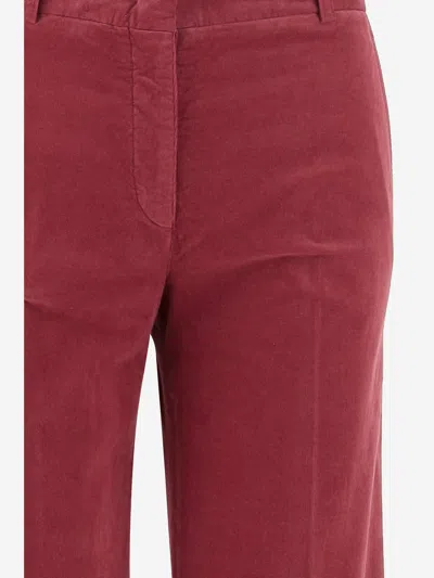 Ql2 Stretch Cotton Melody Pants In Red