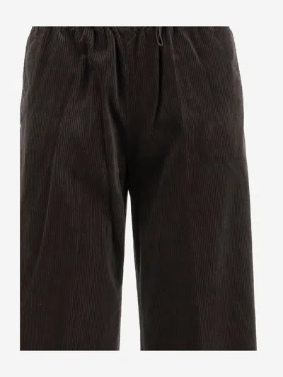 Aspesi Cotton Velvet Pants In Brown