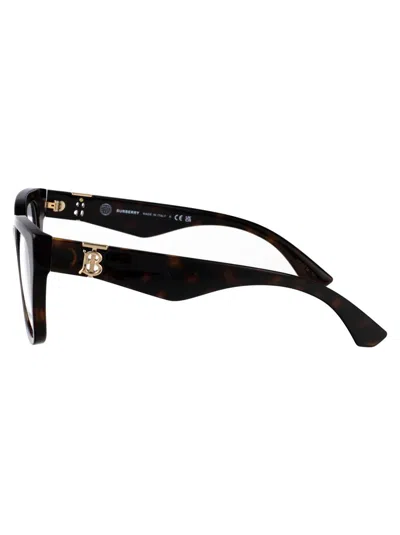 Burberry Dark Havana Acetate Glasses In Black