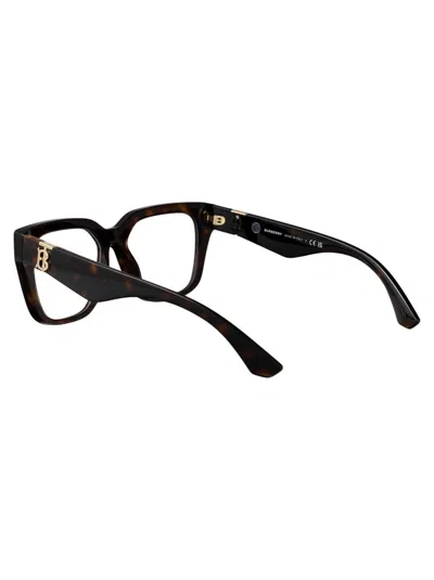 Burberry Dark Havana Acetate Glasses In Black