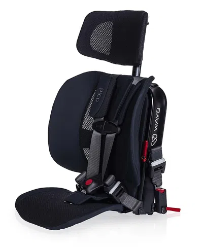 Wayb Unisex Pico Portable Car Seat